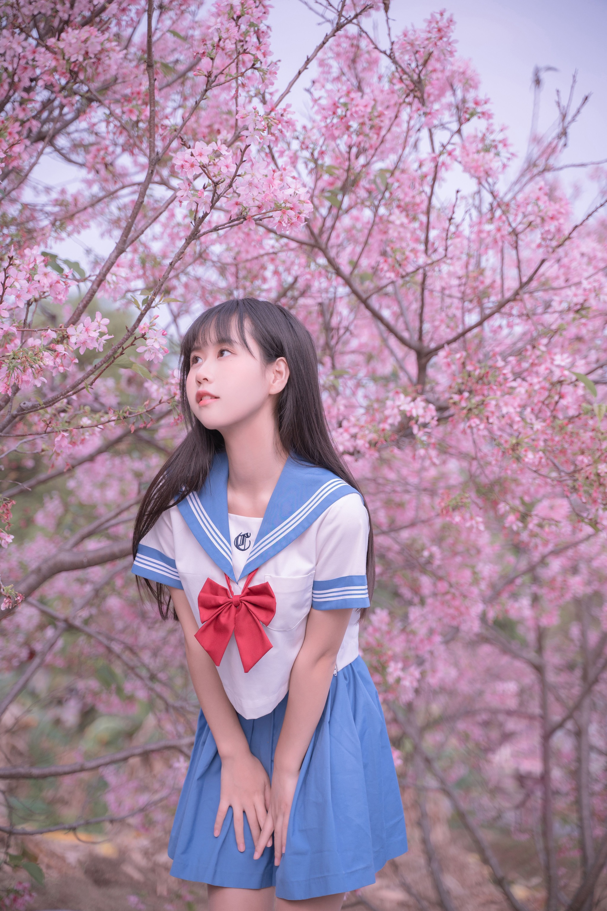 萌芽儿o0 - NO.029 樱花JK[31P]-XikXak